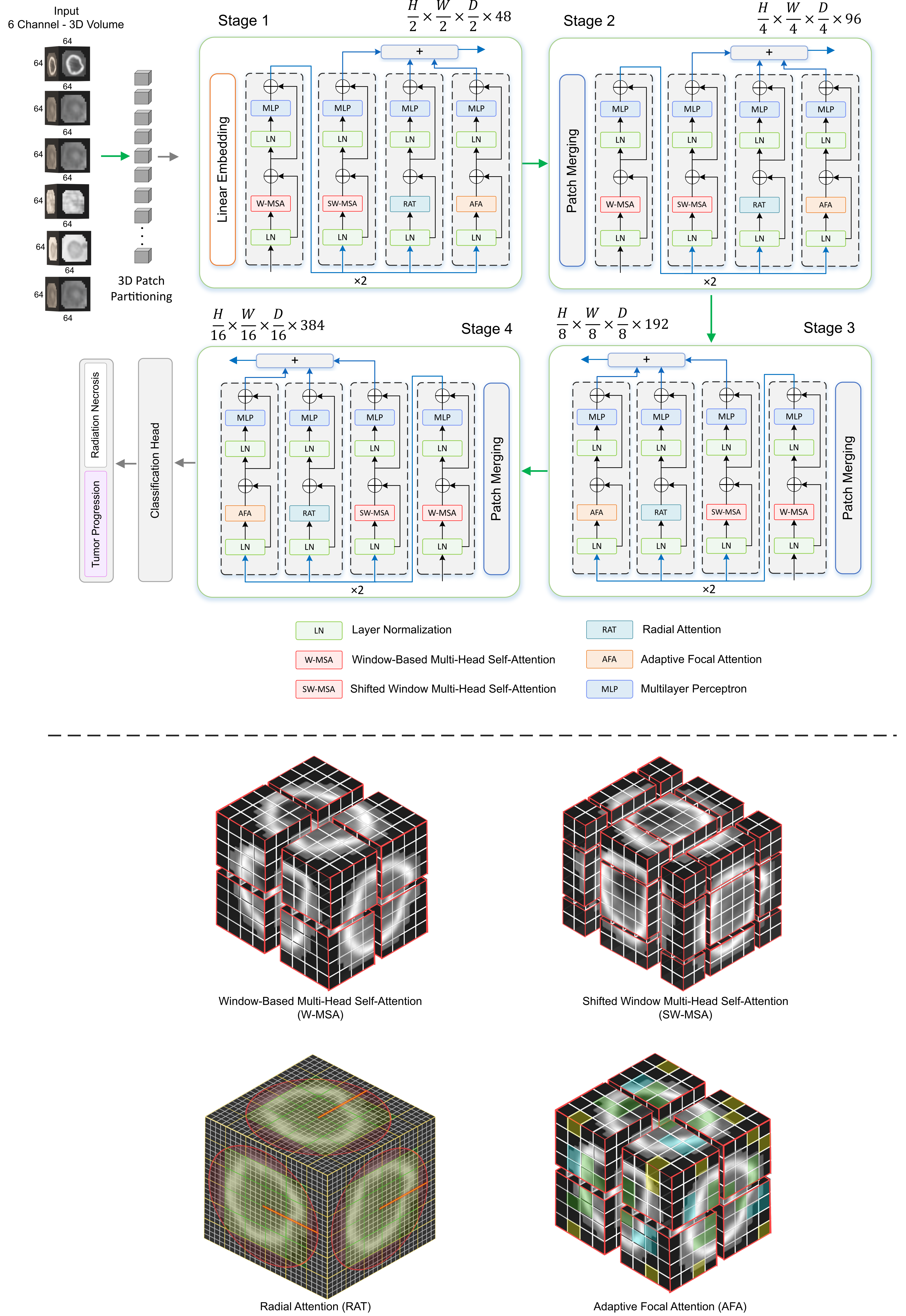 Attention-guided multimodal CEST MRI model for TP vs RN